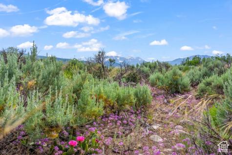 11 S Skyline View Drive E Heber City UT 84032