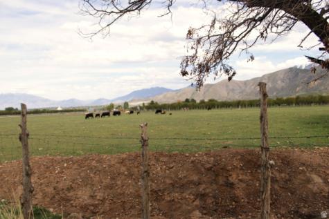 Santaquin UT 84655