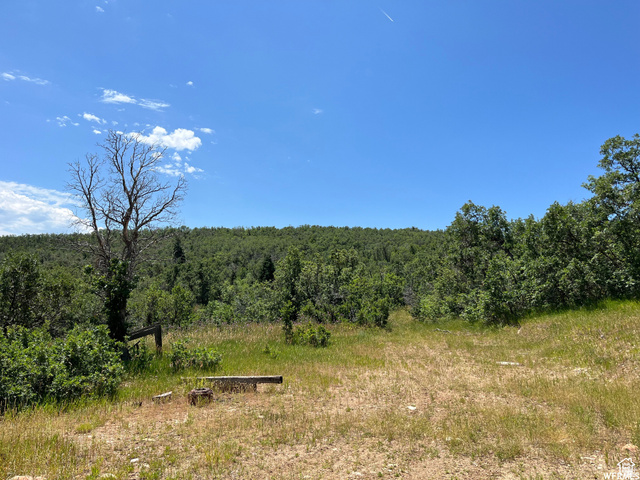 Springville UT 84663
