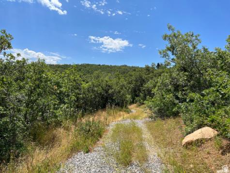 Springville UT 84663