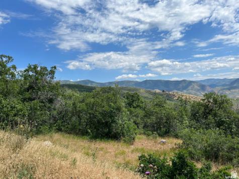 Springville UT 84663