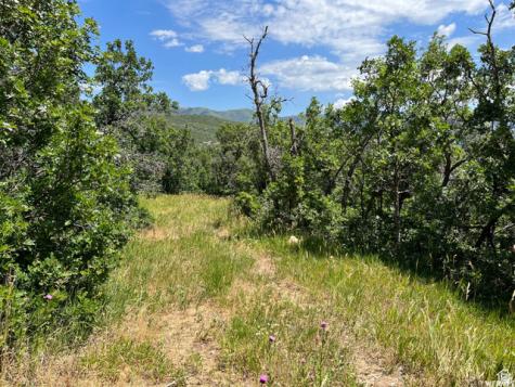 Springville UT 84663