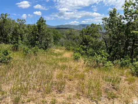 Springville UT 84663