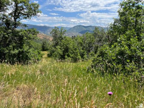 Springville UT 84663