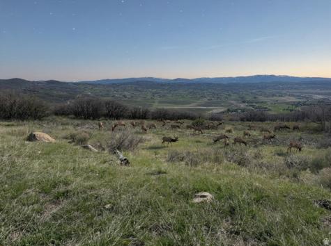 1655 W Red Hawk Trail Park City UT 84098
