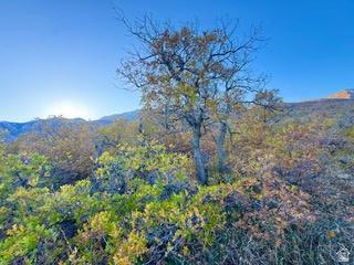 10 E Spring Mountain Drive Springville UT 84663
