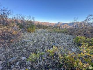 10 E Spring Mountain Drive Springville UT 84663