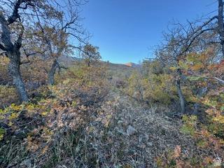 10 E Spring Mountain Drive Springville UT 84663