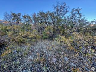 10 E Spring Mountain Drive Springville UT 84663