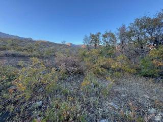 10 E Spring Mountain Drive Springville UT 84663