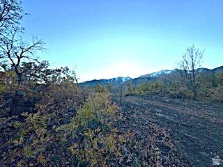 10 E Spring Mountain Drive Springville UT 84663