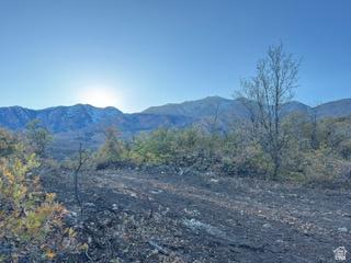 10 E Spring Mountain Drive Springville UT 84663