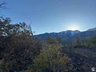 10 E Spring Mountain Drive Springville UT 84663