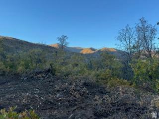 10 E Spring Mountain Drive Springville UT 84663