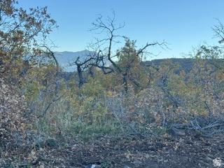 10 E Spring Mountain Drive Springville UT 84663