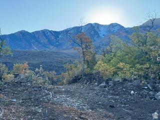 10 E Spring Mountain Drive Springville UT 84663