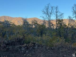 10 E Spring Mountain Drive Springville UT 84663