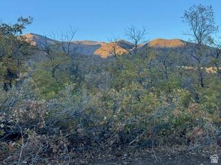 10 E Spring Mountain Drive Springville UT 84663