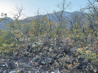 10 E Spring Mountain Drive Springville UT 84663