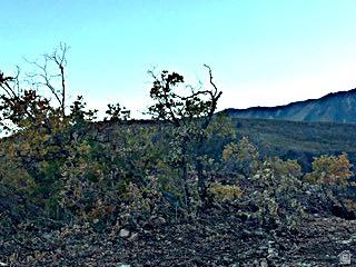 10 E Spring Mountain Drive Springville UT 84663