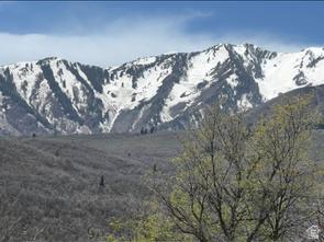 10 E Spring Mountain Drive Springville UT 84663