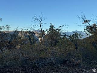 10 E Spring Mountain Drive Springville UT 84663