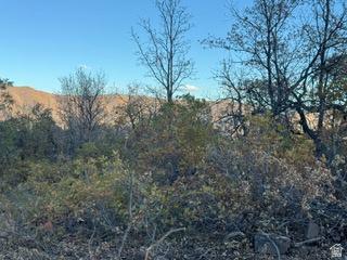 10 E Spring Mountain Drive Springville UT 84663
