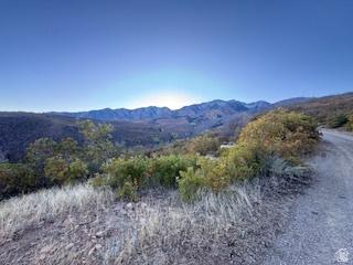 10 E Spring Mountain Drive Springville UT 84663