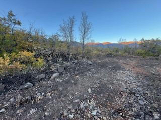10 E Spring Mountain Drive Springville UT 84663