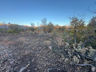 10 E Spring Mountain Drive Springville UT 84663