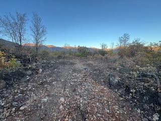 10 E Spring Mountain Drive Springville UT 84663