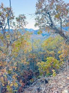 10 E Spring Mountain Drive Springville UT 84663