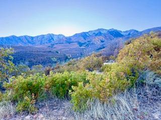 10 E Spring Mountain Drive Springville UT 84663