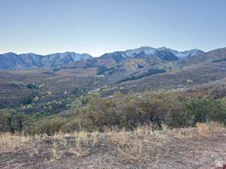 10 E Spring Mountain Drive Springville UT 84663