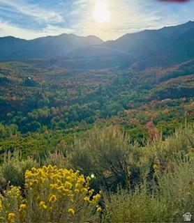 10 E Spring Mountain Drive Springville UT 84663