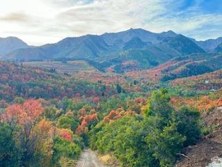 10 E Spring Mountain Drive Springville UT 84663