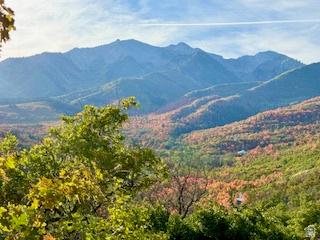 10 E Spring Mountain Drive Springville UT 84663