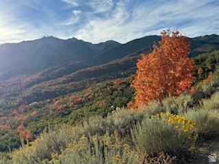 10 E Spring Mountain Drive Springville UT 84663