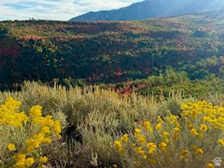 10 E Spring Mountain Drive Springville UT 84663