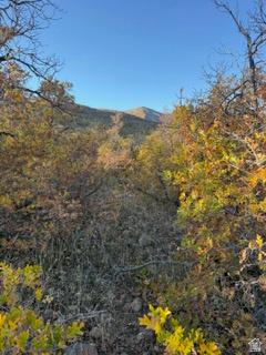 10 E Spring Mountain Drive Springville UT 84663