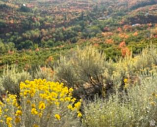 10 E Spring Mountain Drive Springville UT 84663