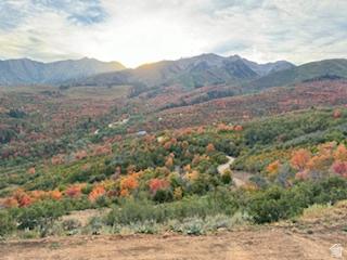 10 E Spring Mountain Drive Springville UT 84663