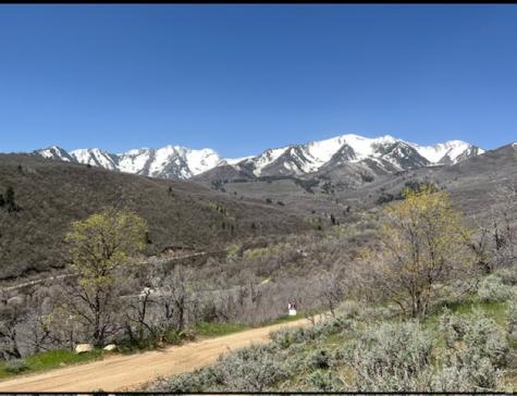 10 E Spring Mountain Drive Springville UT 84663