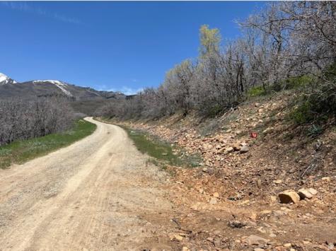 10 E Spring Mountain Drive Springville UT 84663