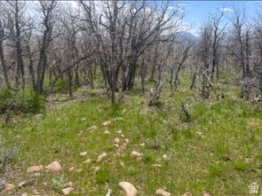 10 E Spring Mountain Drive Springville UT 84663