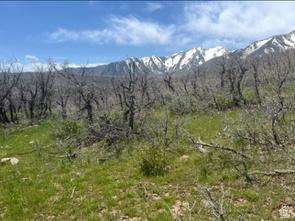 10 E Spring Mountain Drive Springville UT 84663
