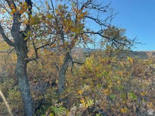 10 E Spring Mountain Drive Springville UT 84663