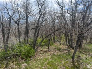10 E Spring Mountain Drive Springville UT 84663