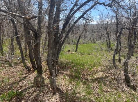 10 E Spring Mountain Drive Springville UT 84663