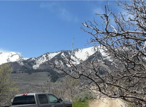 10 E Spring Mountain Drive Springville UT 84663